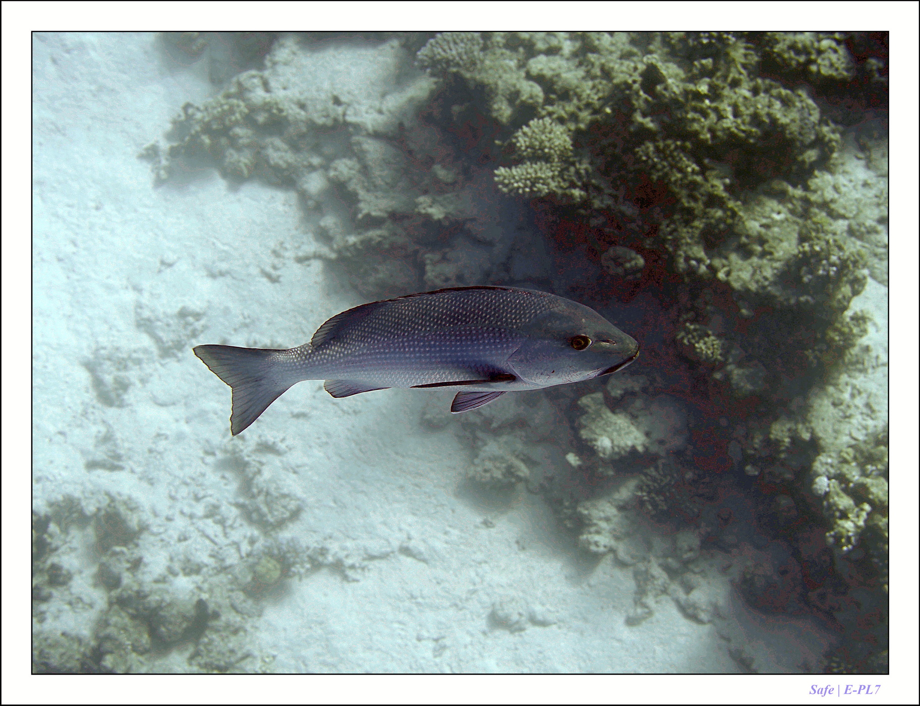 2023 - 03 - Charm El Sheikh - 55